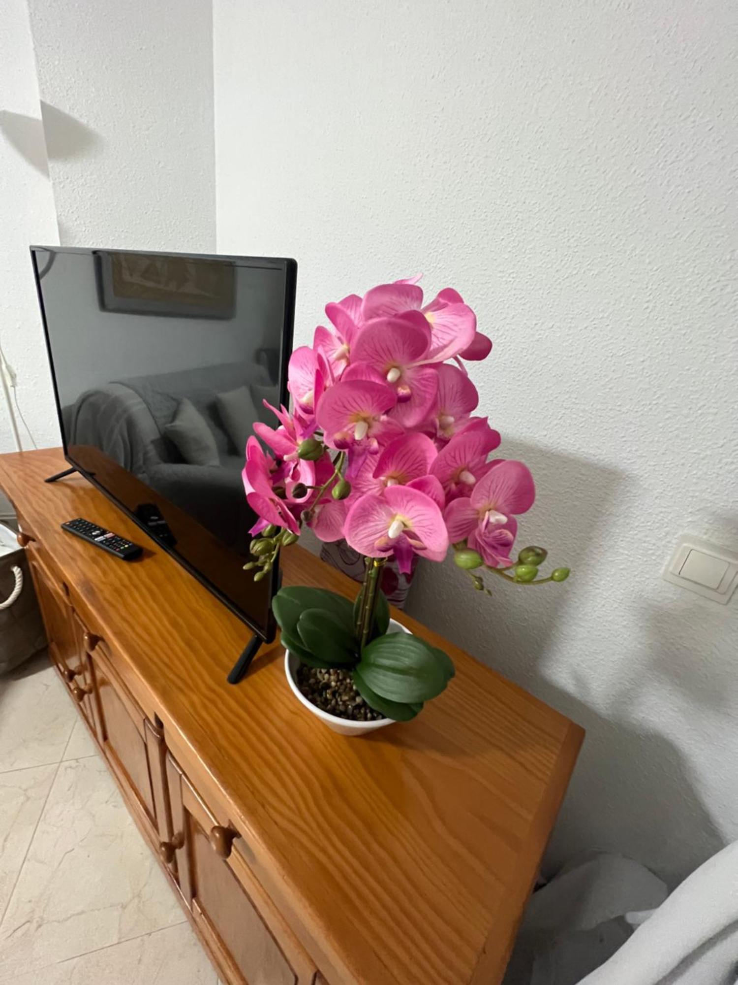 Estudio Mar En Calma, Primera Linea De Playa Con Vistas Al Mar Торокс Екстериор снимка
